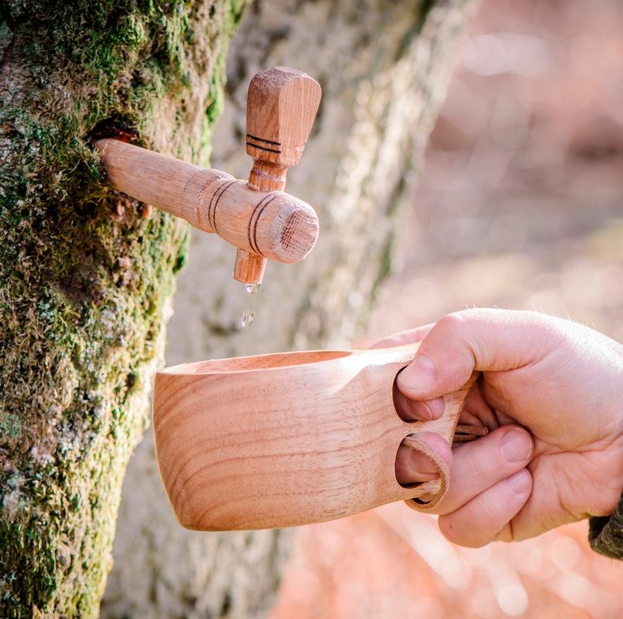 Highland Silver Sap; A luxury like no other